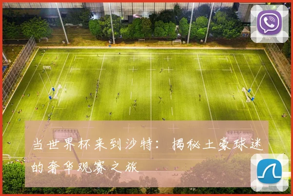 当世界杯来到沙特：揭秘土豪球迷的奢华观赛之旅
