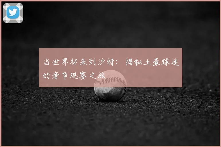 当世界杯来到沙特：揭秘土豪球迷的奢华观赛之旅