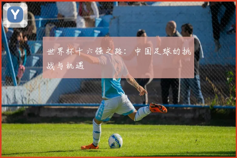 世界杯十六强之路：中国足球的挑战与机遇