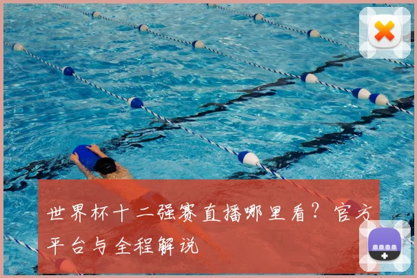世界杯十二强赛直播哪里看？官方平台与全程解说