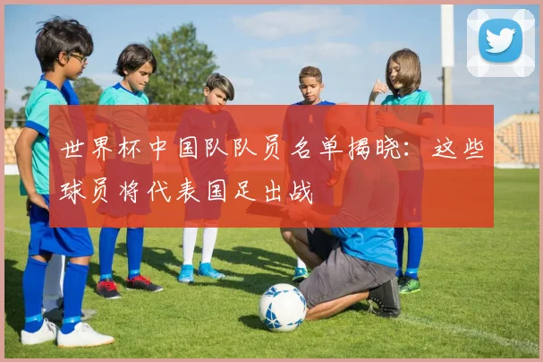 世界杯中国队队员名单揭晓：这些球员将代表国足出战