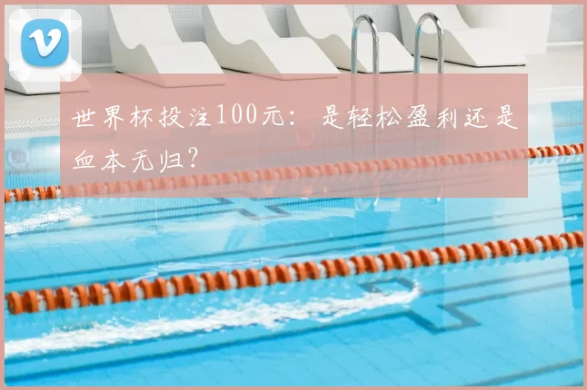 世界杯投注100元：是轻松盈利还是血本无归？