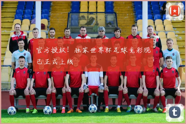 官方授权！独家世界杯足球竞彩现已正式上线