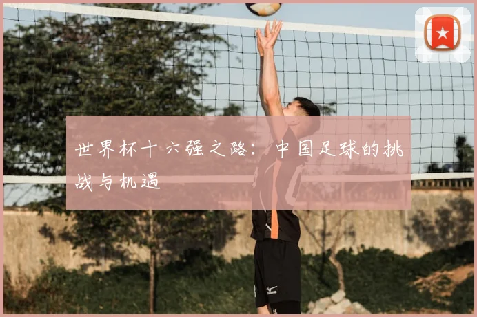 世界杯十六强之路：中国足球的挑战与机遇
